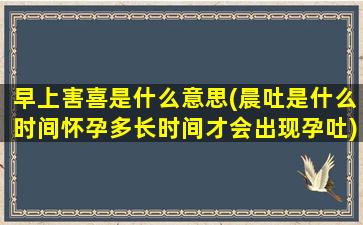 早上害喜是什么意思(晨吐是什么时间怀孕多长时间才会出现孕吐)