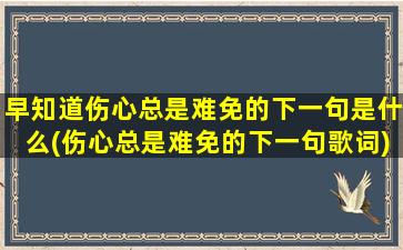 早知道伤心总是难免的下一句是什么(伤心总是难免的下一句歌词)