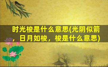 时光梭是什么意思(光阴似箭，日月如梭，梭是什么意思)