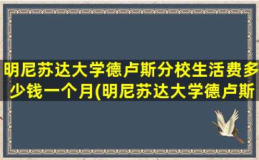 明尼苏达大学德卢斯分校生活费多少钱一个月(明尼苏达大学德卢斯分校生活费多少钱一年)