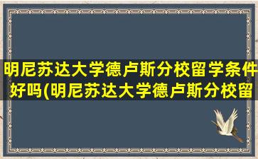 明尼苏达大学德卢斯分校留学条件好吗(明尼苏达大学德卢斯分校留学条件是什么)