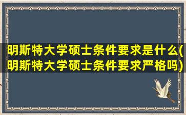 明斯特大学硕士条件要求是什么(明斯特大学硕士条件要求严格吗)