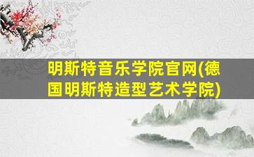 明斯特音乐学院官网(德国明斯特造型艺术学院)