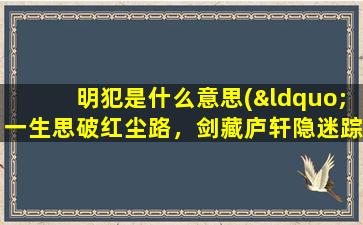 明犯是什么意思(“一生思破红尘路，剑藏庐轩隐迷踪”是什么意思)