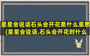 星星会说话石头会开花是什么意思(星星会说话,石头会开花时什么意思)