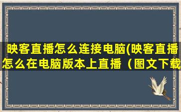 映客直播怎么连接电脑(映客直播怎么在电脑版本上直播（图文下载教程）)