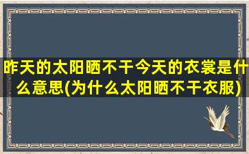 昨天的太阳晒不干今天的衣裳是什么意思(为什么太阳晒不干衣服)