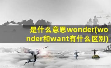 是什么意思wonder(wonder和want有什么区别)