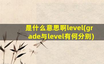 是什么意思啊level(grade与level有何分别)