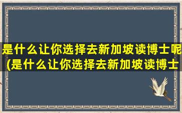 是什么让你选择去新加坡读博士呢(是什么让你选择去新加坡读博士的人)