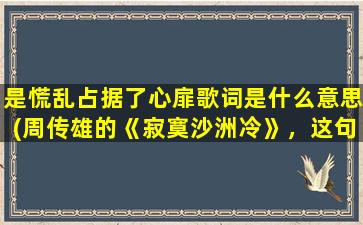 是慌乱占据了心扉歌词是什么意思(周传雄的《寂寞沙洲冷》，这句歌词到底是啥意思)