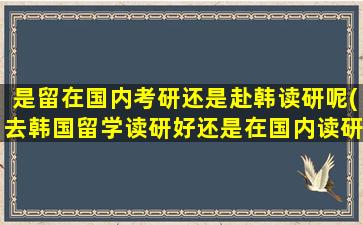 是留在国内考研还是赴韩读研呢(去韩国留学读研好还是在国内读研好)