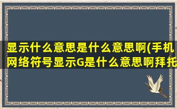 显示什么意思是什么意思啊(手机网络符号显示G是什么意思啊拜托各位大神)