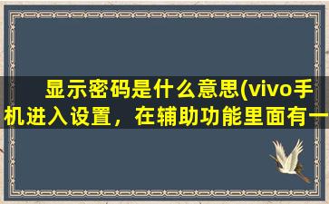 显示密码是什么意思(vivo手机进入设置，在辅助功能里面有一个功能叫，说出密码，这是什么意思)