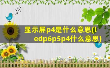 显示屏p4是什么意思(ledp6p5p4什么意思)