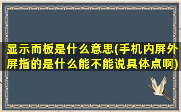 显示而板是什么意思(手机内屏外屏指的是什么能不能说具体点啊)