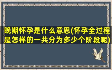 晚期怀孕是什么意思(怀孕全过程是怎样的一共分为多少个阶段呢)