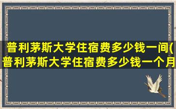 普利茅斯大学住宿费多少钱一间(普利茅斯大学住宿费多少钱一个月)