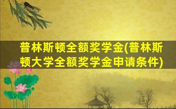 普林斯顿全额奖学金(普林斯顿大学全额奖学金申请条件)