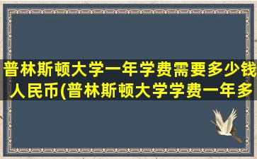 普林斯顿大学一年学费需要多少钱人民币(普林斯顿大学学费一年多少人民币)