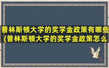 普林斯顿大学的奖学金政策有哪些(普林斯顿大学的奖学金政策怎么样)