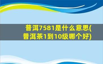 普洱7581是什么意思(普洱茶1到10级哪个好)