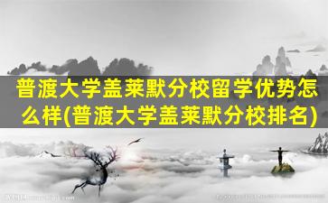 普渡大学盖莱默分校留学优势怎么样(普渡大学盖莱默分校排名)