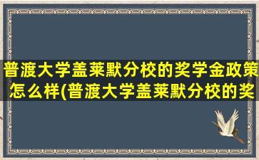 普渡大学盖莱默分校的奖学金政策怎么样(普渡大学盖莱默分校的奖学金政策如何)