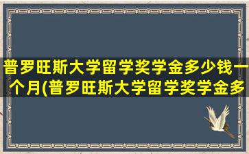 普罗旺斯大学留学奖学金多少钱一个月(普罗旺斯大学留学奖学金多少钱)