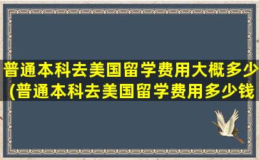 普通本科去美国留学费用大概多少(普通本科去美国留学费用多少钱)