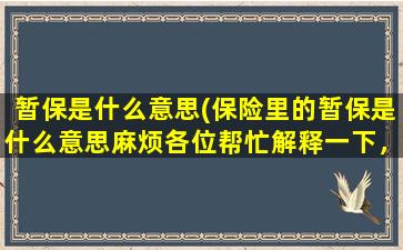 暂保是什么意思(保险里的暂保是什么意思麻烦各位帮忙解释一下，谢谢了)