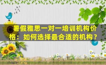 暑假雅思一对一培训机构价格：如何选择最合适的机构？