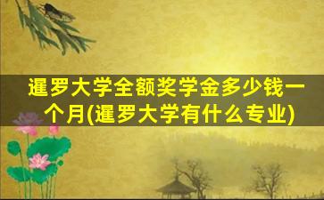 暹罗大学全额奖学金多少钱一个月(暹罗大学有什么专业)