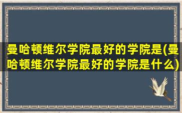 曼哈顿维尔学院最好的学院是(曼哈顿维尔学院最好的学院是什么)