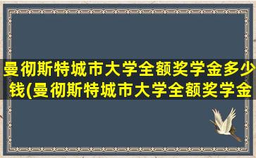 曼彻斯特城市大学全额奖学金多少钱(曼彻斯特城市大学全额奖学金多少钱一个月)