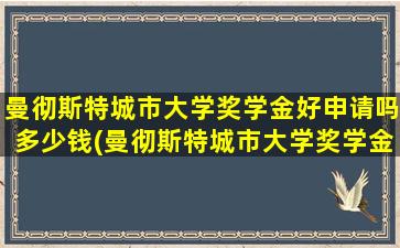 曼彻斯特城市大学奖学金好申请吗多少钱(曼彻斯特城市大学奖学金好申请吗现在)