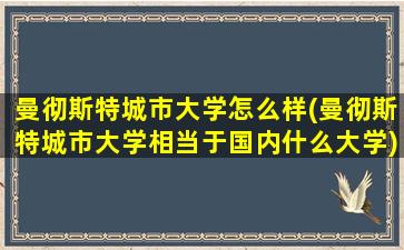 曼彻斯特城市大学怎么样(曼彻斯特城市大学相当于国内什么大学)