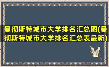 曼彻斯特城市大学排名汇总图(曼彻斯特城市大学排名汇总表最新)