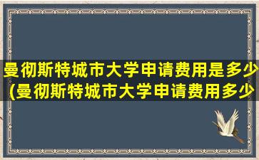 曼彻斯特城市大学申请费用是多少(曼彻斯特城市大学申请费用多少钱)