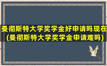 曼彻斯特大学奖学金好申请吗现在(曼彻斯特大学奖学金申请难吗)