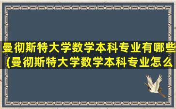 曼彻斯特大学数学本科专业有哪些(曼彻斯特大学数学本科专业怎么样)