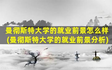 曼彻斯特大学的就业前景怎么样(曼彻斯特大学的就业前景分析)