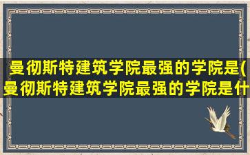 曼彻斯特建筑学院最强的学院是(曼彻斯特建筑学院最强的学院是什么)