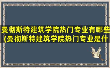 曼彻斯特建筑学院热门专业有哪些(曼彻斯特建筑学院热门专业是什么)