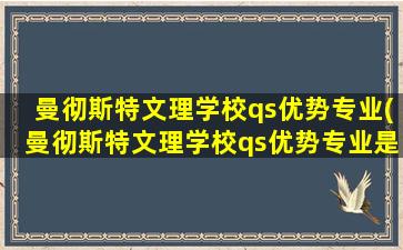 曼彻斯特文理学校qs优势专业(曼彻斯特文理学校qs优势专业是什么)