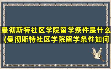 曼彻斯特社区学院留学条件是什么(曼彻斯特社区学院留学条件如何)