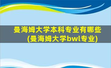 曼海姆大学本科专业有哪些(曼海姆大学bwl专业)