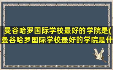 曼谷哈罗国际学校最好的学院是(曼谷哈罗国际学校最好的学院是什么)