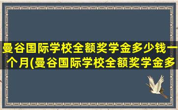 曼谷国际学校全额奖学金多少钱一个月(曼谷国际学校全额奖学金多少钱啊)