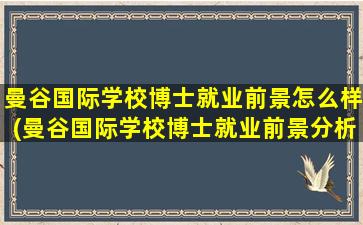 曼谷国际学校博士就业前景怎么样(曼谷国际学校博士就业前景分析)